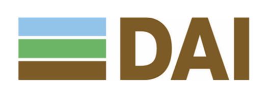 DAI Logo